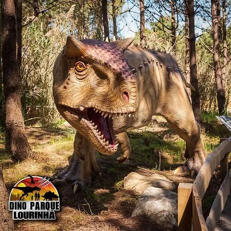 Dom wakacyjny House In The Historic Area Of