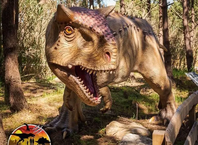 別荘 House In The Historic Area Of